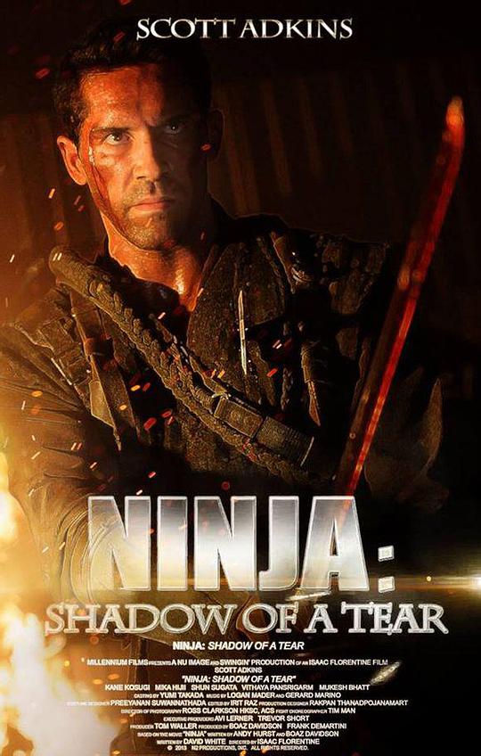 Ninja 2: Torn Shadow