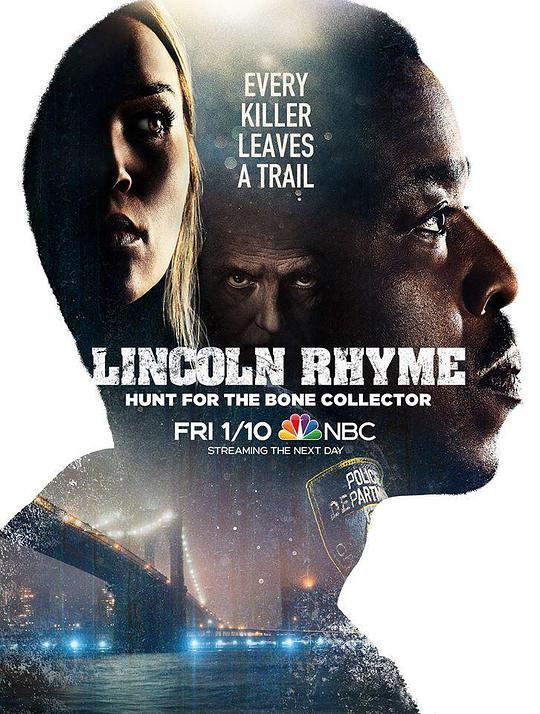 Lincoln: The Bone Puzzle