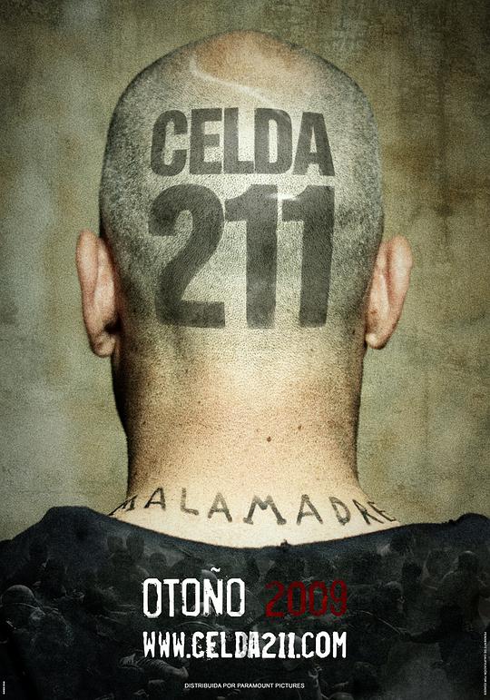 Cell 211