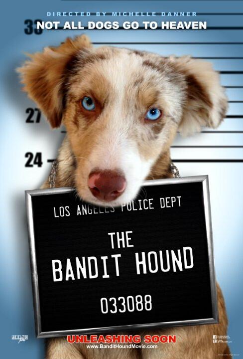 Hound Bandit